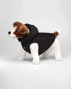 Mujer/Hombre Prada ACCESORIOS PARA MASCOTAS|ACCESORIOS PARA MASCOTAS^Abrigo Acolchado De Re-nylon Con Capucha