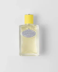 Mujer/Hombre Prada FRAGANCIAS PARA HOMBRE|FRAGANCIAS PARA MUJER^Infusion D'ylang Edp 100 Ml