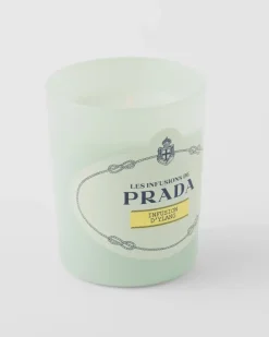 Mujer/Hombre Prada FRAGANCIAS PARA MUJER|FRAGANCIAS PARA HOMBRE^Vela Infusion D'ylang